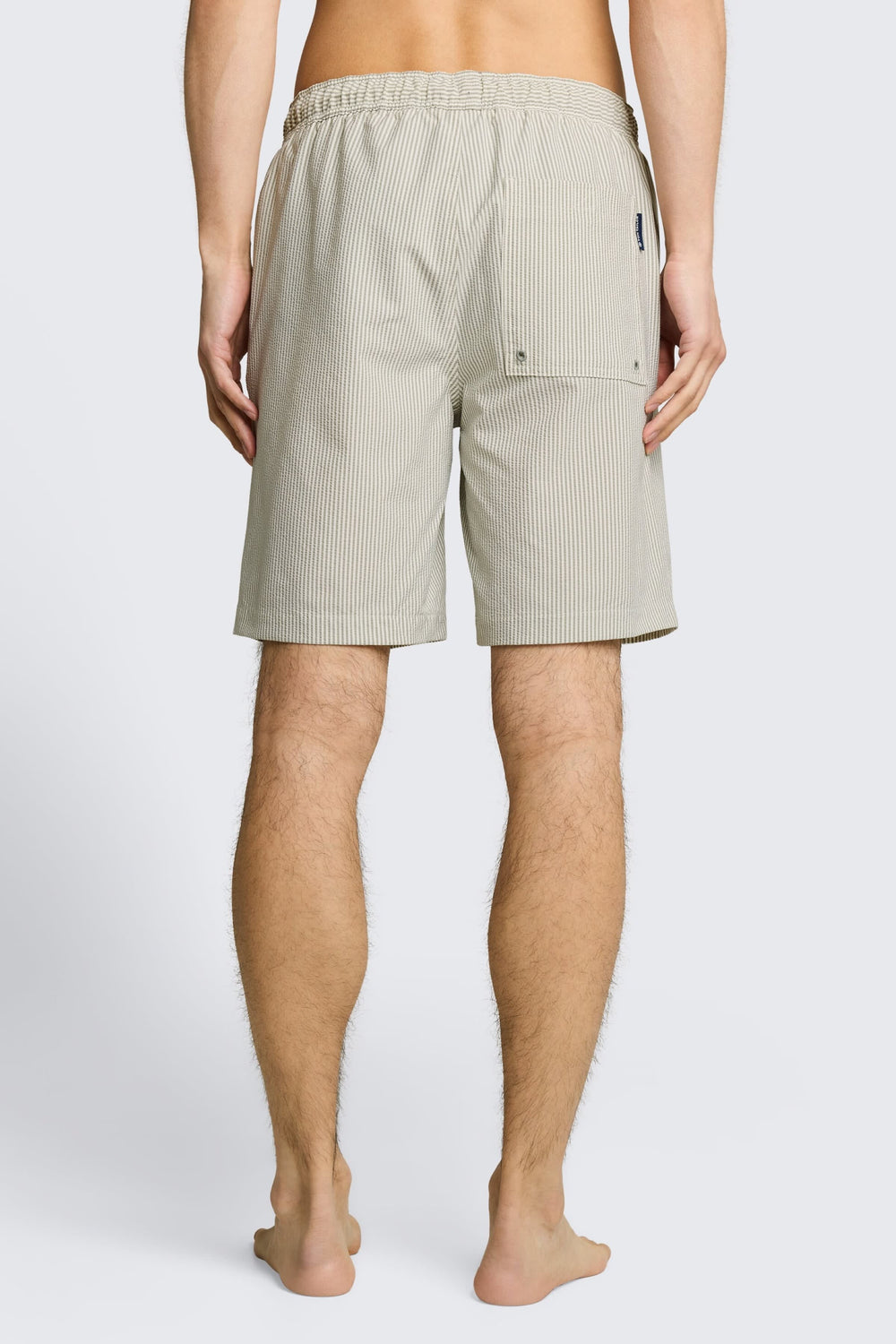 Front view of the Tom Tailor blue and white striped men's T-shirt with Size elastic - Valérie Simon